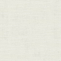 Galerie Wallcoverings Product Code 12009 - Design Wallpaper Collection - Off White White Colours - Dots Design