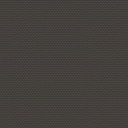 Galerie Wallcoverings Product Code 12710 - Ted Baker Fantasia Wallpaper Collection - Black Colours - Mano Design