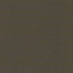 Galerie Wallcoverings Product Code 12711 - Ted Baker Fantasia Wallpaper Collection - Black Gold Colours - Mano Design