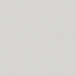 Galerie Wallcoverings Product Code 14863 - Little Explorers 2 Wallpaper Collection - Silver Grey Colours - Neutrals and polka dots have never looked as good as they do in the refined style of our Dot wallpaper. This delicate polka dot design places cream dots atop a darker neutral background to create a vibrant pattern that is playful yet not overwhelming. The colour scheme lends itself to relaxation, positivity, and calm, whilst the dots add new life and energy to your space. The neutral colour scheme works with any decor and you can build on this modern design with contemporary or traditional furnishings and decor. Design