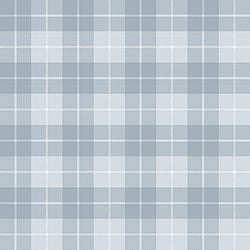 Galerie Wallcoverings Product Code 14873 - Little Explorers 2 Wallpaper Collection - Heavenly Colours - Introducing our captivating Twilled Tartan wallpaper, a stunning addition to elevate your home décor. Crafted with meticulous attention to detail, this slightly textured vinyl wallpaper embodies the essence of balanced design. With its rich matte muted colours, complemented by the subtle interweaving of white threads, it creates an illusion of a beautifully handwoven fabric. The intricate twill pattern adds a touch of sophistication and elegance to any space, infusing it with a sense of timeless charm.  Design