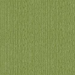 Galerie Wallcoverings Product Code 18575 - Into The Wild Wallpaper Collection - Green Colours - Bamboo Design