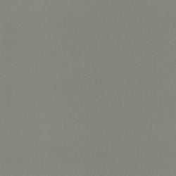 Galerie Wallcoverings Product Code 34951 - Eclectic Wallpaper Collection - Gold/Grey Colours - Metallic look Design