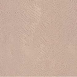 Galerie Wallcoverings Product Code 423624 - African Queen 2 Wallpaper Collection -   