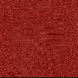 Galerie Wallcoverings Product Code 474114 - African Queen 2 Wallpaper Collection -   