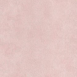 Galerie Wallcoverings Product Code 494716 - Pop Skin Wallpaper Collection -   