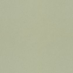 Galerie Wallcoverings Product Code 77005 - Fagring Wallpaper Collection - Pistachio Colours - Pistage Design