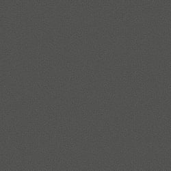 Galerie Wallcoverings Product Code 95056 - Air Wallpaper Collection - Black Colours - This textured wallpaper is the perfect choice if you want to bring a room up to date in an understated way. With a subtle emboss to create some structural depth, it comes in a fabulous black colour option. No interior décor is complete without the addition of texture, this matte natural wallpaper will be a warming welcome to your home. This will be perfect on all four walls or can be accompanied by a complementary wallpaper. Design