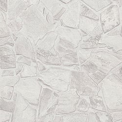 Galerie Wallcoverings Product Code BB51139 - Bricks And More Wallpaper Collection - Grey White Colours - Petrified Paradise Motif Design