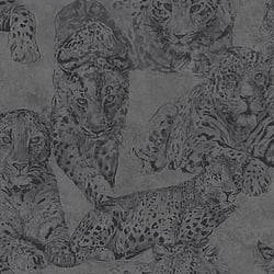 Galerie Wallcoverings Product Code BL22722 - Botanica Wallpaper Collection - Black Colours - Leopard Design