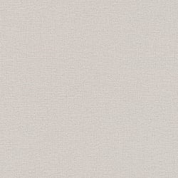 Galerie Wallcoverings Product Code BW51014 - Blooming Wild Wallpaper Collection - Beige Brown Colours - Plain Texture Design