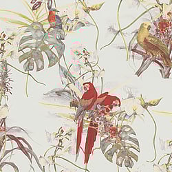 Galerie Wallcoverings Product Code BW51028 - Blooming Wild Wallpaper Collection - Cream Red White Colours - Exotic Parrot Motif Design