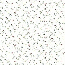 Galerie Wallcoverings Product Code CN24604 - Fresh Kitchens 5 Wallpaper Collection -   