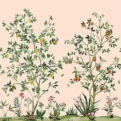 Galerie Wallcoverings Product Code DB30301M - Daisy Bennett Wallpaper Collection - Pinks Colours - Citrus Grove Mural Design