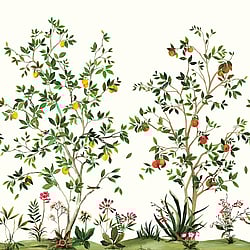 Galerie Wallcoverings Product Code DB30305M - Daisy Bennett Wallpaper Collection - Multicolors Colours - Citrus Grove Mural Design