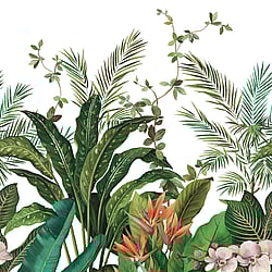 Galerie Wallcoverings Product Code DB31700M - Daisy Bennett Wallpaper Collection - Multicolors Colours - Bird of Paradise Mural  Design