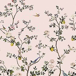 Galerie Wallcoverings Product Code DB31801M - Daisy Bennett Wallpaper Collection - Pinks Colours - Blossom Mural Design