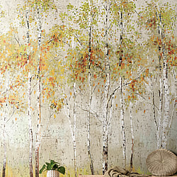 Galerie Wallcoverings Product Code DB32006M - Daisy Bennett Wallpaper Collection - Multicolors Colours - Aspen Tree Mural Design