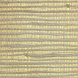 Galerie Wallcoverings Product Code DB33006 - Daisy Bennett Wallpaper Collection - Golds Colours - Savannah Grass Design