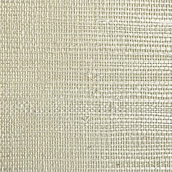 Galerie Wallcoverings Product Code DB33100 - Daisy Bennett Wallpaper Collection - Whites & Off Whites Colours - Stella Sisal Design