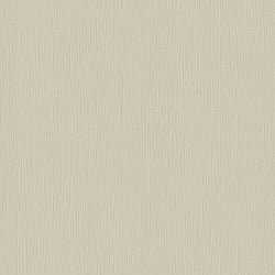Galerie Wallcoverings Product Code DC30191 - Designer Colours Wallpaper Collection - Beige Colours - Stripe Texture Design