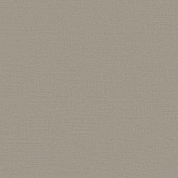 Galerie Wallcoverings Product Code DC30204 - Designer Colours Wallpaper Collection - Beige Colours - Fine Lines Texture Design