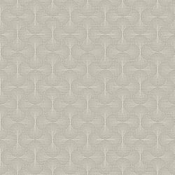 Galerie Wallcoverings Product Code DT-FA3002 - Boutique Wallpaper Collection - Beige Colours - Zen Design