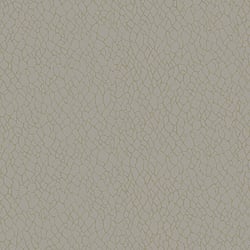 Galerie Wallcoverings Product Code DWP0232-02 - Boutique Wallpaper Collection - Beige Colours - Webbing Design