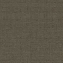 Galerie Wallcoverings Product Code F-SR8007 - Lustre Wallpaper Collection - Bronze Brown Colours - Plain Design