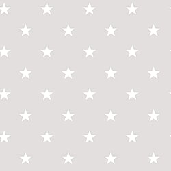 Galerie Wallcoverings Product Code G23109 - Deauville Wallpaper Collection - Grey Beige White Colours - Deauville Star Design
