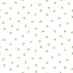 Galerie Wallcoverings Product Code G34343 - English Florals Wallpaper Collection -   