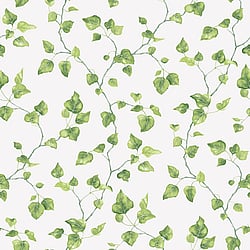Galerie Wallcoverings Product Code G45431 - Just Kitchens Wallpaper Collection - Green Colours - Just Ivy Design