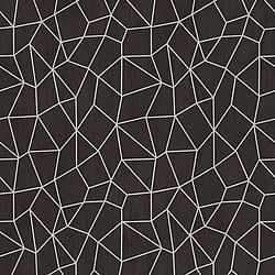 Galerie Wallcoverings Product Code G67694 - Special FX 2 Wallpaper Collection - Black Silver Colours - Glitter Web Design