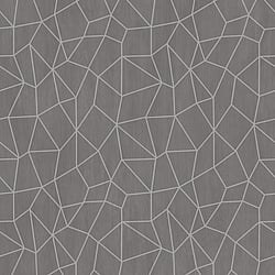 Galerie Wallcoverings Product Code G67698 - Special FX 2 Wallpaper Collection - Silver Grey Beige Colours - Glitter Web Design