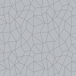 Galerie Wallcoverings Product Code G67699 - Special FX 2 Wallpaper Collection - Silver Grey Colours - Glitter Web Design