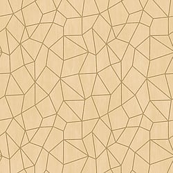 Galerie Wallcoverings Product Code G67703 - Special Fx Wallpaper Collection - Yellow Gold Colours - Glitter Web Design