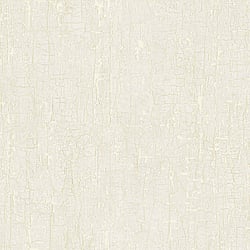 Galerie Wallcoverings Product Code G67747 - Natural FX 2 Wallpaper Collection - White Colours - Bark Design