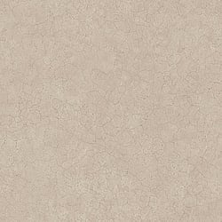 Galerie Wallcoverings Product Code G78119 - Texture Fx Wallpaper Collection - Browns Colours - Sandstone Design