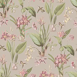 Galerie Wallcoverings Product Code G78507 - Secret Garden Wallpaper Collection -  Cottage Botanical Design