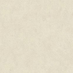 Galerie Wallcoverings Product Code HZ62028 - Horizon Wallpaper Collection - Beige Colours - Mottled Texture Design