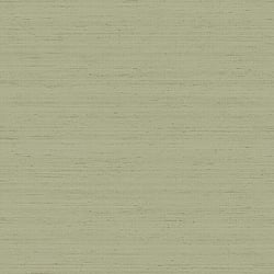 Galerie Wallcoverings Product Code IS33395 - Synergy Wallpaper Collection - Green Colours - Shantung Tonale Design