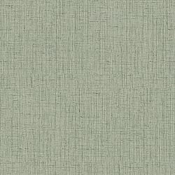Galerie Wallcoverings Product Code OG22308 - Shades Of Colour Wallpaper Collection - green Colours - Plain Design