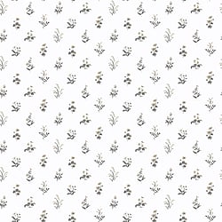 Galerie Wallcoverings Product Code PF38167 - Pretty Prints Wallpaper Collection - Beige, Grey Colours - Mini Garden Spot Design