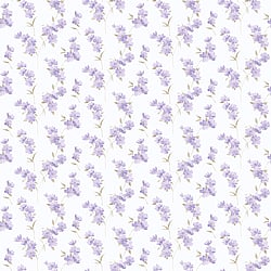 Galerie Wallcoverings Product Code PR33850 - Floral Prints 2 Wallpaper Collection -   