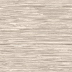 Galerie Wallcoverings Product Code TA25040 - Shades Of Colour Wallpaper Collection - offwhite Colours - Grasscloth Design