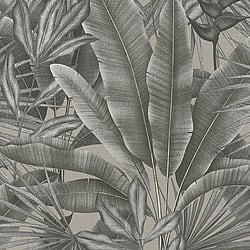 Galerie Wallcoverings Product Code WH30115 - Welcome Home Wallpaper Collection - Silver Grey Colours - Tropical Leaves Design