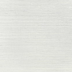 Galerie Wallcoverings Product Code WP21606 - Daisy Bennett Wallpaper Collection - Silvers & Pewters Colours - Hayseed Grass Design