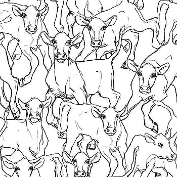 Galerie Wallcoverings Product Code 14106 - Marimekko 5 Wallpaper Collection - White Black Colours -  