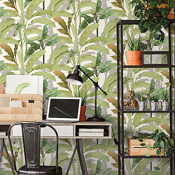 Galerie Wallcoverings Product Code 18541 - Into The Wild Wallpaper Collection - Green Colours -  