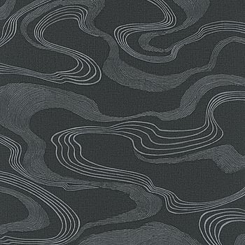Galerie Wallcoverings Product Code 34537 - Kumano Wallpaper Collection - Black  Colours -  